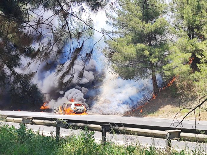 Araçta çıkan yangın ormana sıçradı