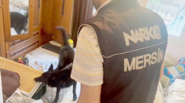 Zehir taciri kilolarca uyuşturucu ile yakalandı